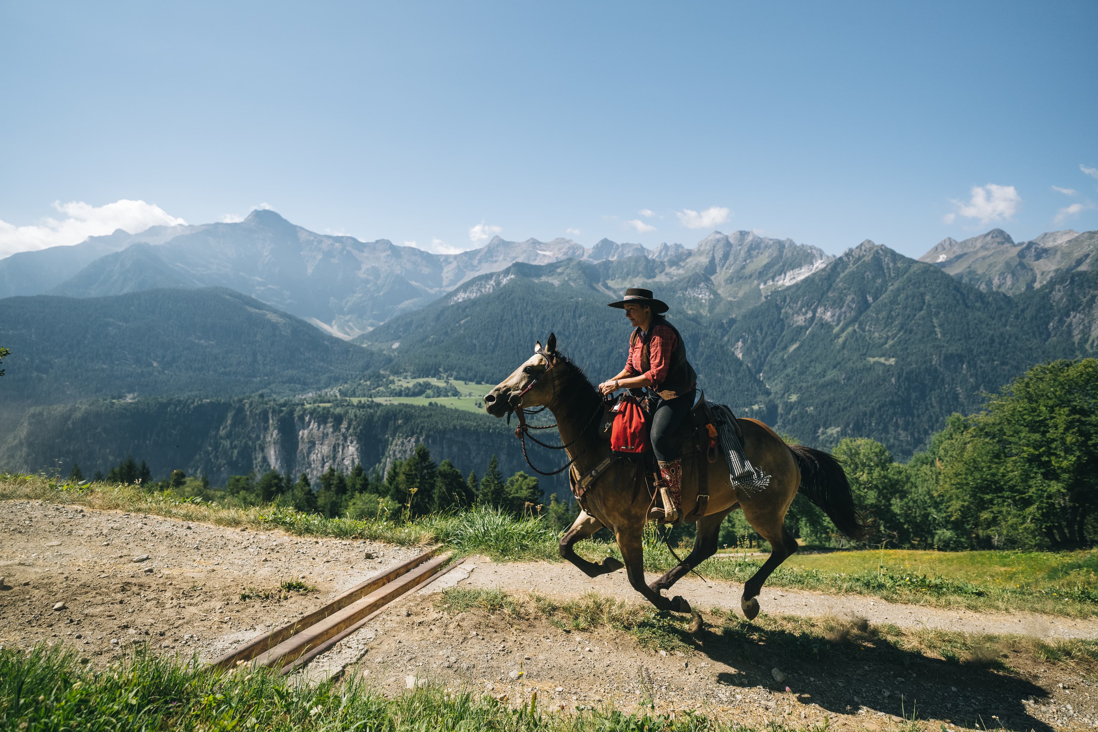 Horse photo 2