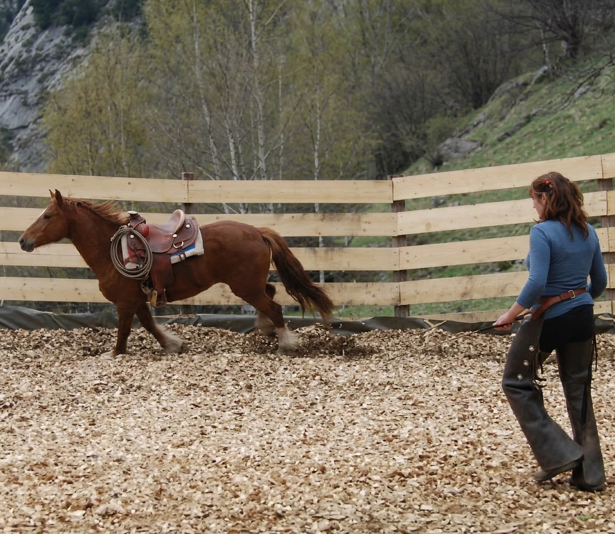 Horse Training Philosophy